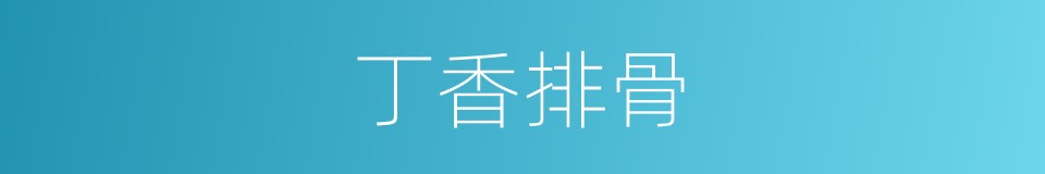 丁香排骨的同义词