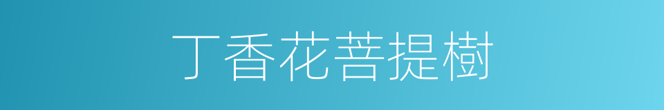 丁香花菩提樹的同義詞
