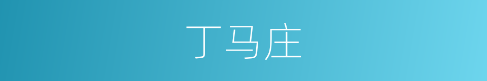 丁马庄的同义词