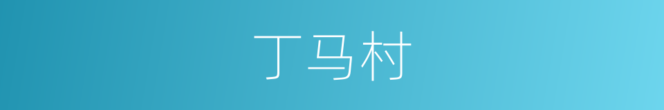 丁马村的同义词