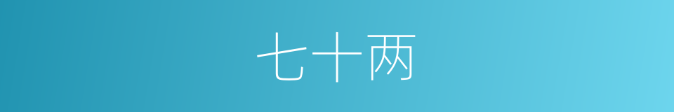 七十两的同义词