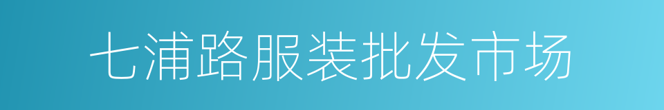 七浦路服装批发市场的同义词