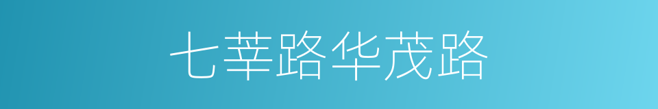 七莘路华茂路的同义词