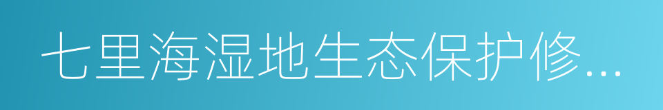 七里海湿地生态保护修复规划的同义词