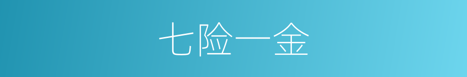 七险一金的同义词