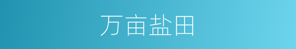 万亩盐田的同义词