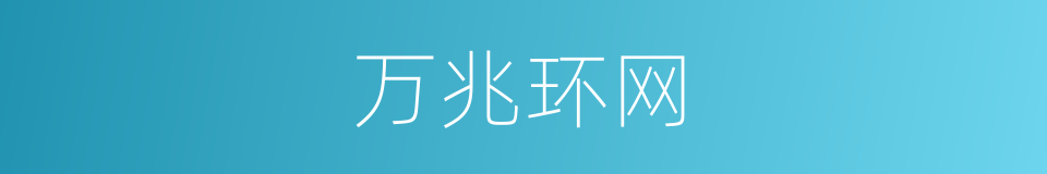 万兆环网的同义词
