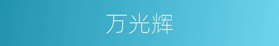 万光辉的同义词