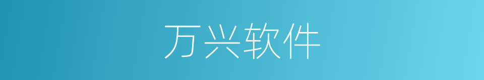 万兴软件的同义词