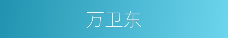万卫东的同义词