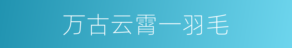 万古云霄一羽毛的同义词