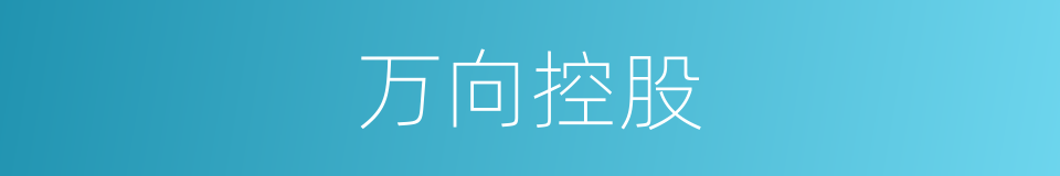 万向控股的同义词