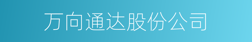 万向通达股份公司的同义词