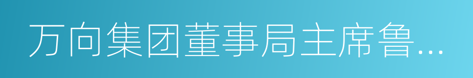 万向集团董事局主席鲁冠球的同义词