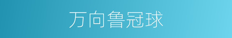 万向鲁冠球的同义词