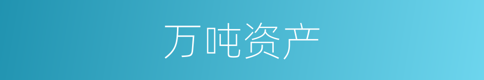 万吨资产的同义词