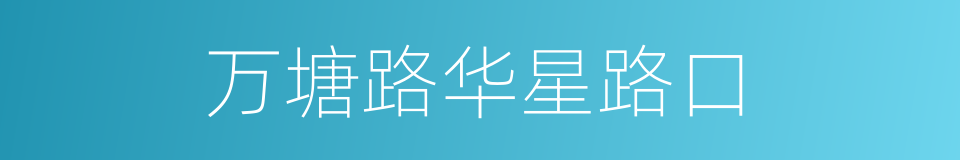 万塘路华星路口的同义词