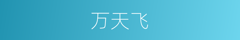 万天飞的同义词