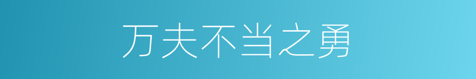 万夫不当之勇的意思