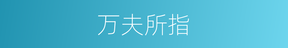 万夫所指的意思