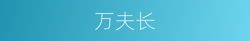 万夫长的同义词