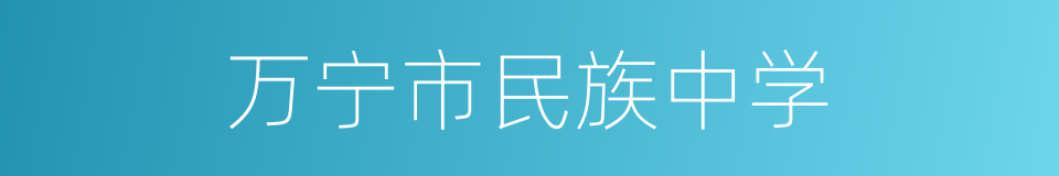 万宁市民族中学的同义词
