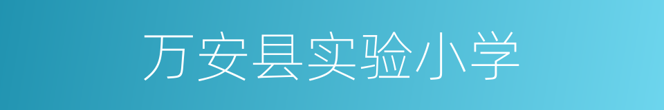 万安县实验小学的同义词