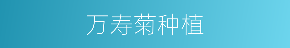 万寿菊种植的同义词