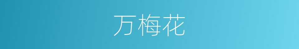万梅花的同义词