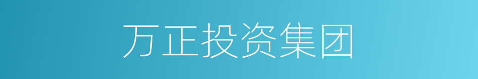 万正投资集团的同义词
