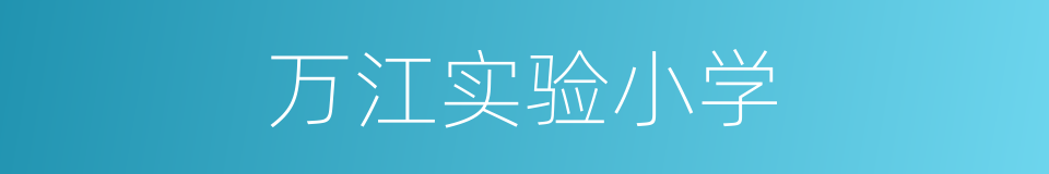 万江实验小学的同义词