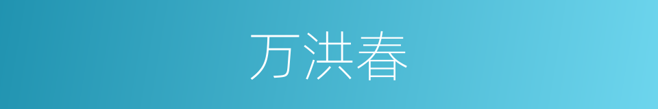 万洪春的同义词