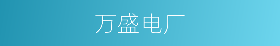 万盛电厂的同义词