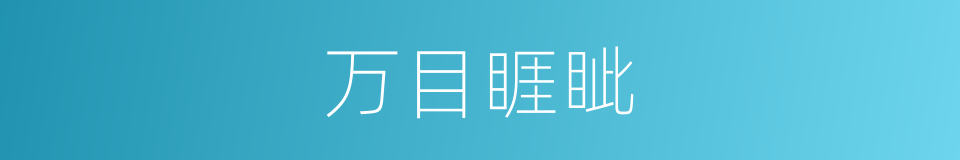 万目睚眦的意思