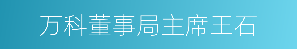 万科董事局主席王石的同义词