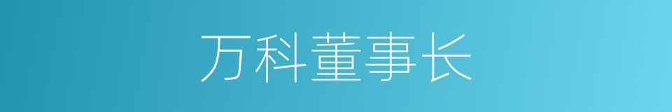 万科董事长的同义词