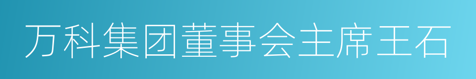 万科集团董事会主席王石的同义词