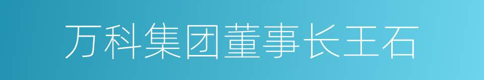 万科集团董事长王石的同义词