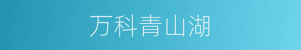 万科青山湖的同义词