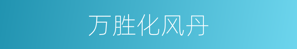 万胜化风丹的同义词