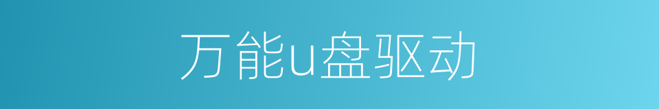 万能u盘驱动的同义词