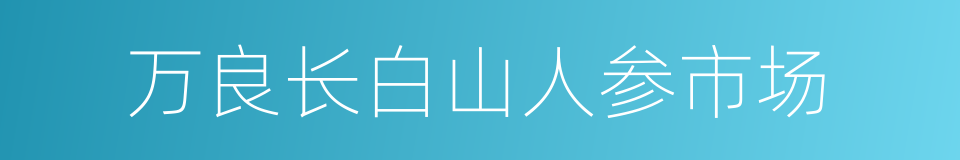 万良长白山人参市场的同义词