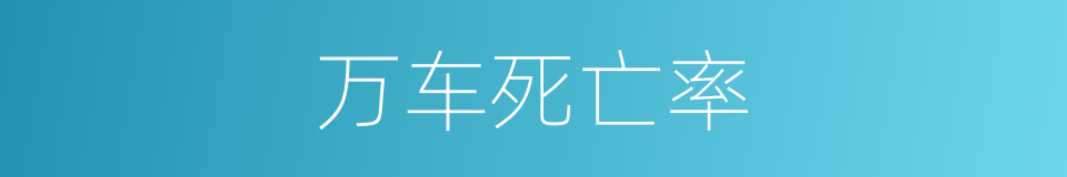 万车死亡率的同义词