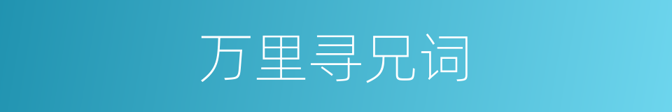 万里寻兄词的同义词