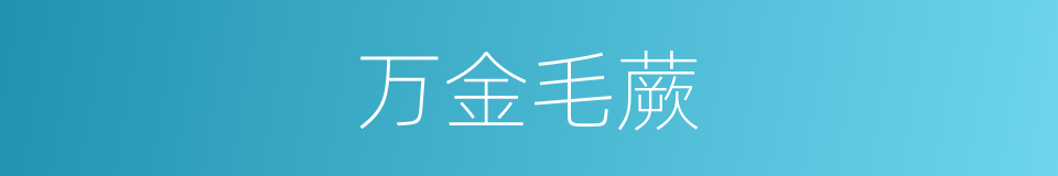 万金毛蕨的同义词