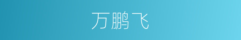 万鹏飞的同义词