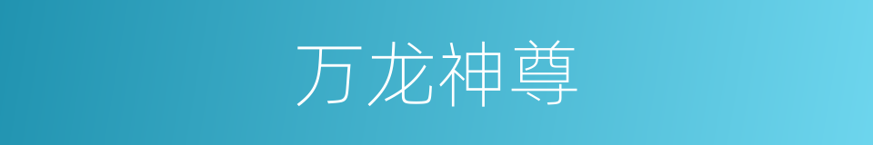 万龙神尊的同义词