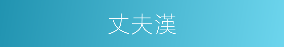 丈夫漢的意思