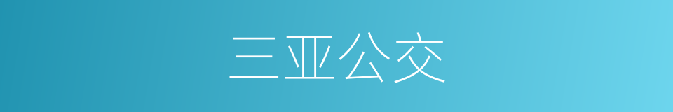 三亚公交的同义词