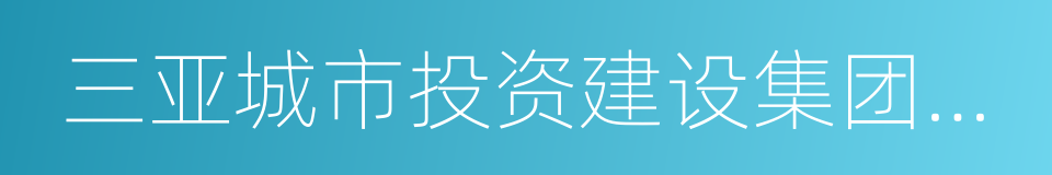 三亚城市投资建设集团有限公司的同义词